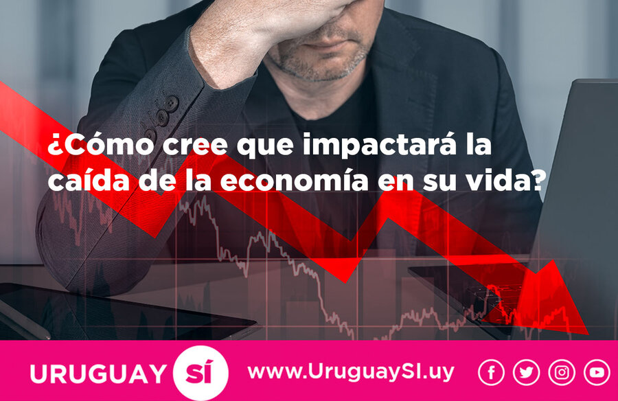 Resultados encuesta caída de la economía